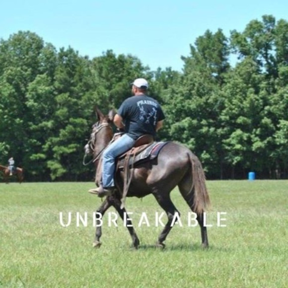 Meet your Posher, Craig - Picture 1 of 1